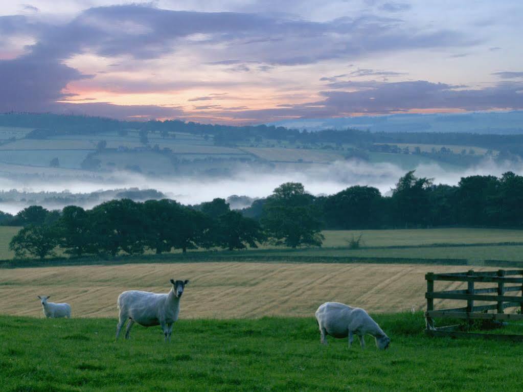 Rye Hill Farm Bed and Breakfast Hexham Buitenkant foto